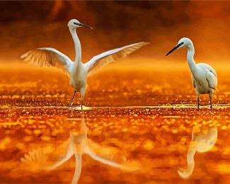 White Egrets diamond painting