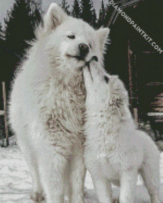 White Samoyeds diamond painting