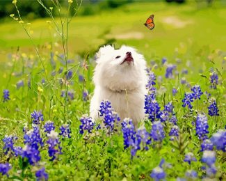 White Dog Watching Butterflly diamond painting