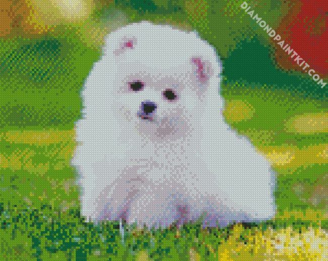 White Pomeranian diamond painting