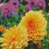 Yellow Dahlia Flowers diamond painting