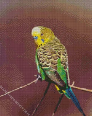 Yellow Head Budgerigar diamond painting