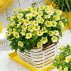 Yellow Petunia diamond painting