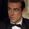 Young Sean Connery Actor diamond painting