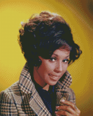 The Actress Diahann Carroll diamond painting