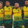 Aust Rugby Team diamond paintig