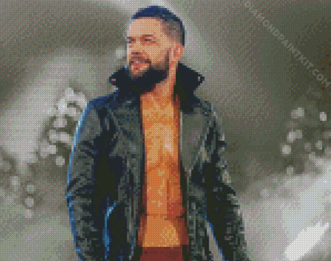 Finn Balor diamond paintig