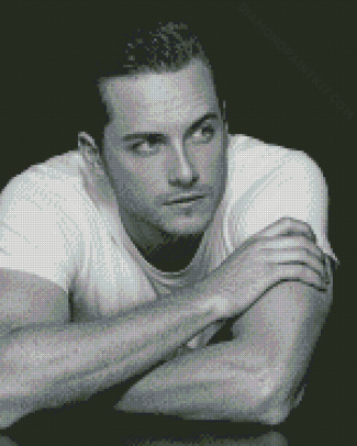 Handsome Jesse Lee Soffer diamond paintig