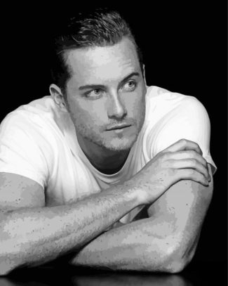 Handsome Jesse Lee Soffer diamond paintig