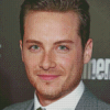 The American Actor Jesse Lee Soffer diamond paintig