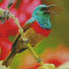 Aesthetic Sunbird diamond painting by numbers