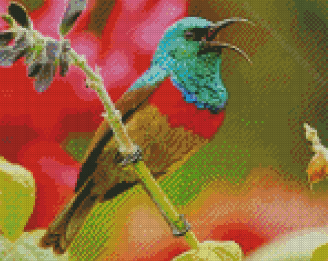 Aesthetic Sunbird diamond painting by numbers