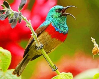 Aesthetic Sunbird diamond painting by numbers