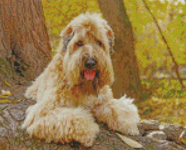 Soft Coated Wheaten Terrier diamond paintig