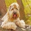 Soft Coated Wheaten Terrier diamond paintig