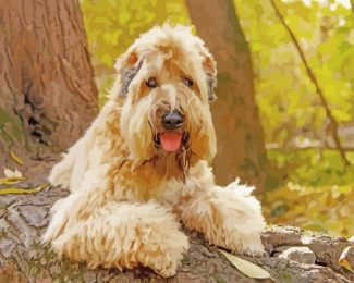 Soft Coated Wheaten Terrier diamond paintig