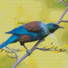 Tui Bird diamond painting