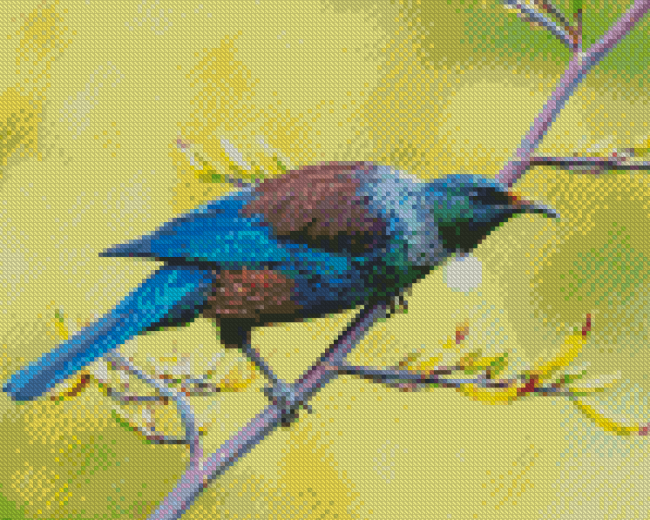 Tui Bird diamond painting