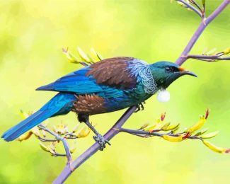 Tui Bird diamond painting