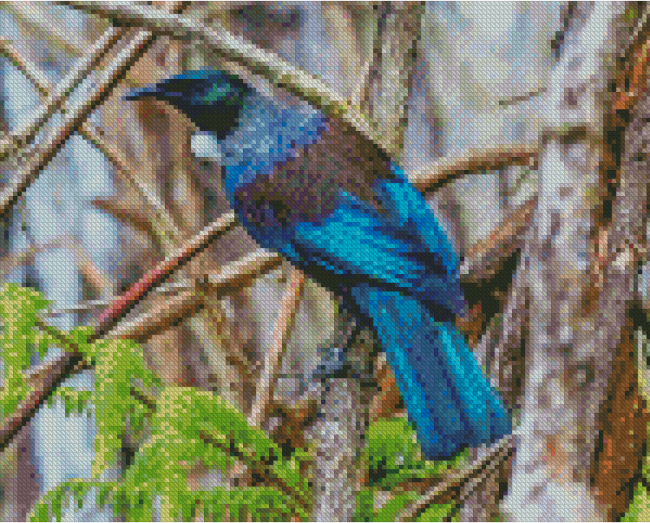 Cool Tui Bird diamond painting