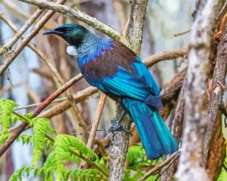 Cool Tui Bird diamond painting