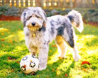 Aesthetic Aussiedoodle diamond painting