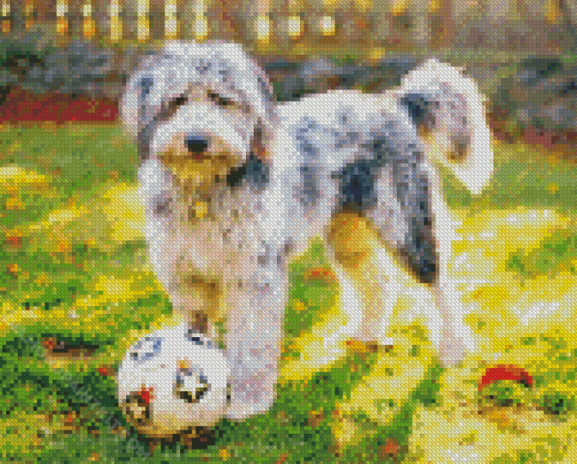 Aesthetic Aussiedoodle diamond painting