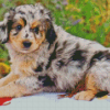 Cool Aussiedoodle Dog diamond painting