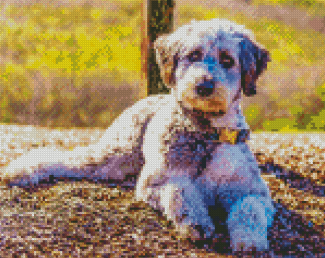 Cute Aussiedoodle Dog diamond painting