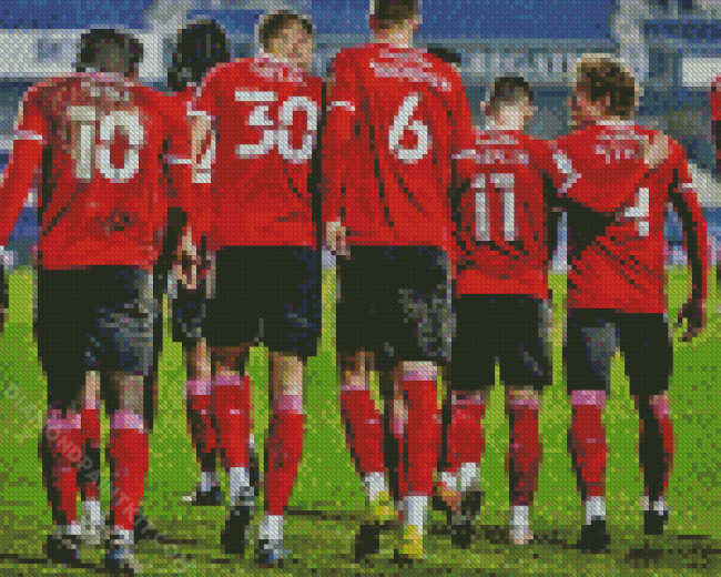 Barnsley FC Football Team diamond painting