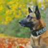 Belgian Malinois Police Dog diamond painting