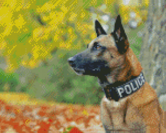 Belgian Malinois Police Dog diamond painting