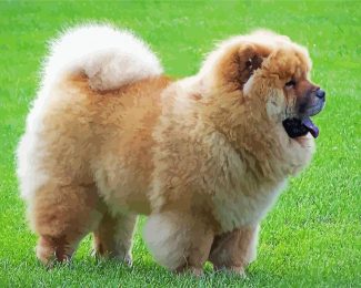 Chow Chow diamond painting