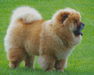 Chow Chow diamond painting