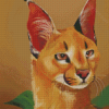 Aesthetic Floppa Cat diamond painting