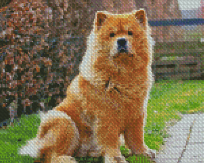 Cute Chow Chow diamond painting