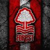 Nottingham Forest Football Club Logo diamond painting