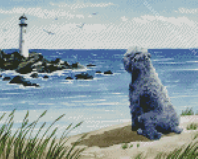 Bouvier Contemplating A Lighthouse diamond painting