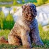 Cute Bouvier Dog diamond painting