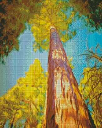 Giant Sequoi Trees diamond painting