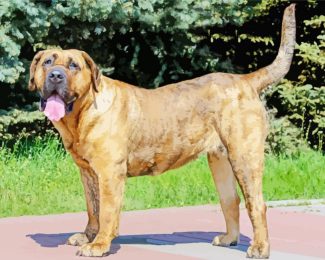 Perro de Presa Canario diamond painting