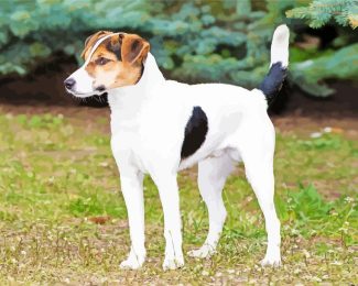 Glatthaar Foxterrier Diamond Painting