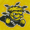 Wichita State Shockers Basketball Diamond Painting