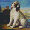 Lagotto Romagnolo Art Diamond Painting