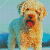 Lagotto Romagnolo Diamond Painting