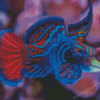 Mandarinfish Diamond Painting