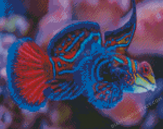 Mandarinfish Diamond Painting