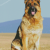 German Shepherd Dog Diamond Painting