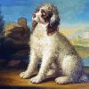 Lagotto Romagnolo Art Diamond Painting