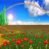 Poppy Field Emerald City Diamond Painting